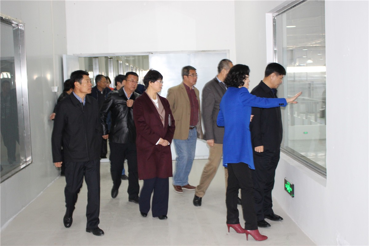 1493019328299813.jpg 果蔬脆片OEM|VF薯?xiàng)l|法式薯?xiàng)l|薯?xiàng)l