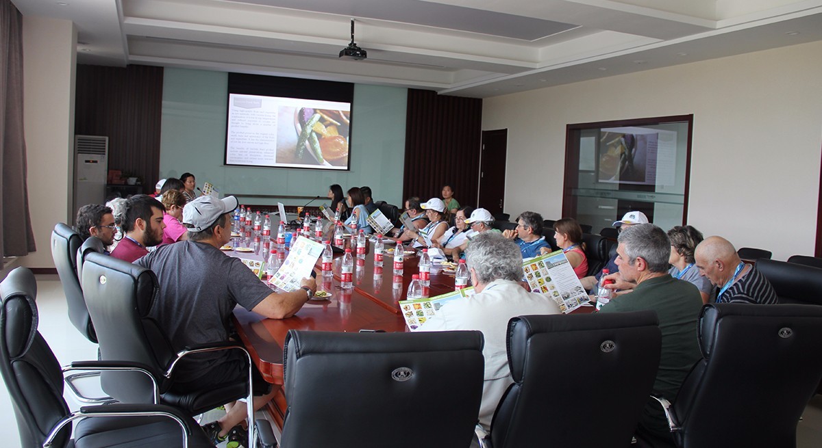 1503036822765797.jpg 果蔬脆片OEM|VF薯條|法式薯條|薯條