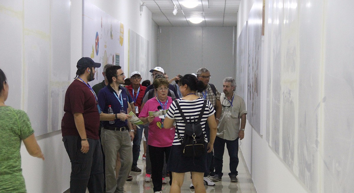 1503036823634527.jpg 果蔬脆片OEM|VF薯條|法式薯條|薯條