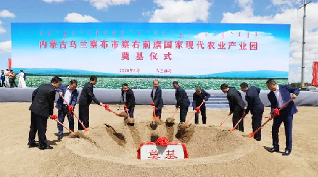 果蔬脆片OEM|VF薯條|法式薯條|薯條 果蔬脆片OEM|VF薯條|法式薯條|薯條