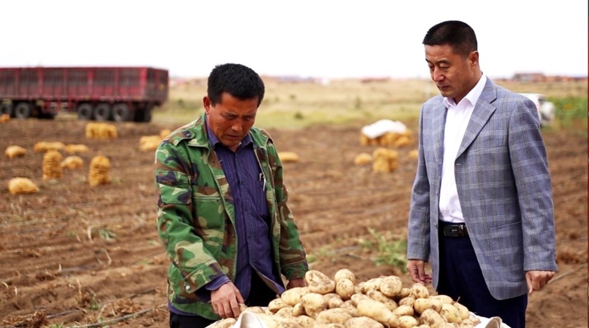 果蔬脆片OEM|VF薯?xiàng)l|法式薯?xiàng)l|薯?xiàng)l 果蔬脆片OEM|VF薯?xiàng)l|法式薯?xiàng)l|薯?xiàng)l