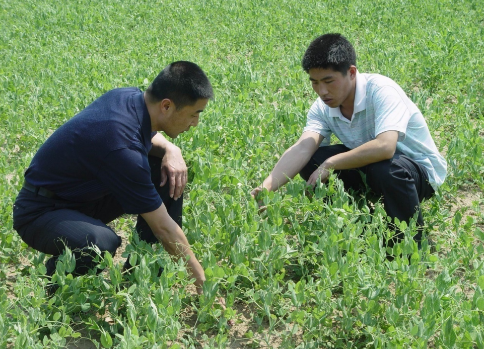 果蔬脆片OEM|VF薯?xiàng)l|法式薯?xiàng)l|薯?xiàng)l 果蔬脆片OEM|VF薯?xiàng)l|法式薯?xiàng)l|薯?xiàng)l