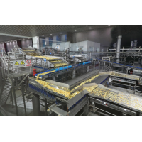 專注薯制品全產(chǎn)業(yè)鏈整合加工，凱達(dá)恒業(yè)獲黑蟻資本、建發(fā)新興近4億元首輪融資